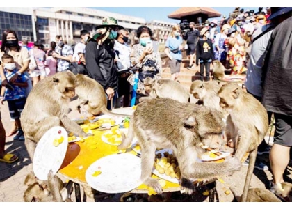 2021–12-01 华富里飨猴盛会 杯盘狼藉